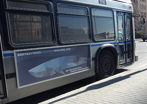 Dont buy from iclandic whalers ad - does whaling in iceland still happen in 2022?