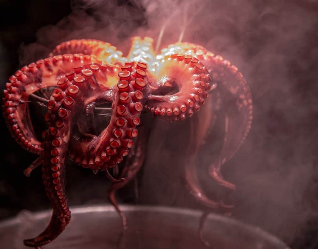 Octopus sushi madako tako - tako - octopus